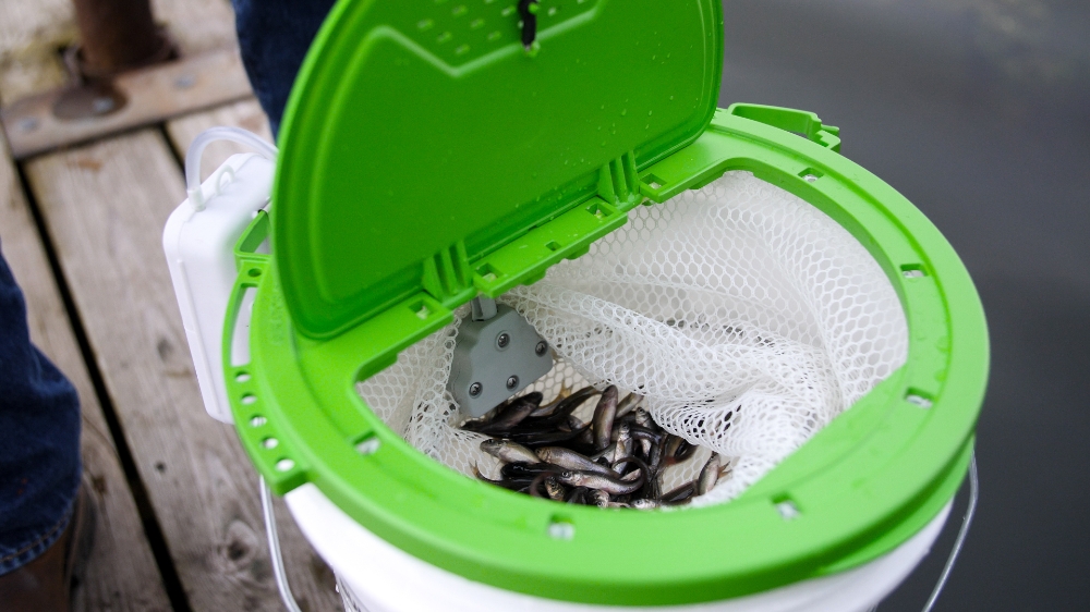 Fish Butler Bait Butler