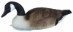 Pontoon Perimeter Field and Water Canada Goose 3