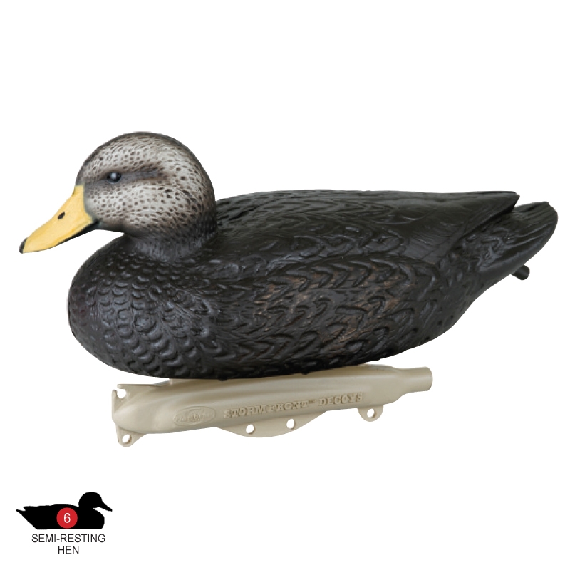 Storm Front™2 Classic Floater Black Duck - 12-Pack