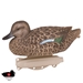 Storm Front Classic Blue-winged Teal 3