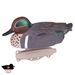Storm Front Classic Green-winged Teal 2