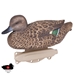 Storm Front Classic Green-winged Teal 3
