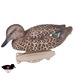 Storm Front Classic Green-winged Teal 4