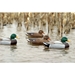 Storm Front Classic Floater Mallard 4 ducks in the water