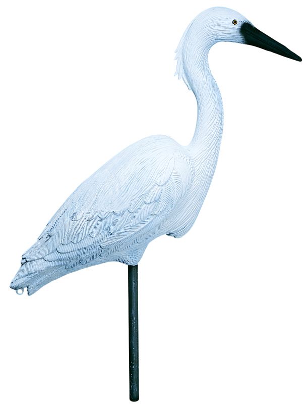 Flambeau Egret