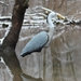 Flambeau Blue Heron used outdoor 2