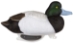 Gunning Series Foam Filled Bluebill left side