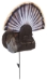 King Strutter Decoy Back view