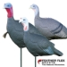 Feather Flex Love Triangle
