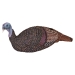 MAD Shady Baby Breeding Hen 1