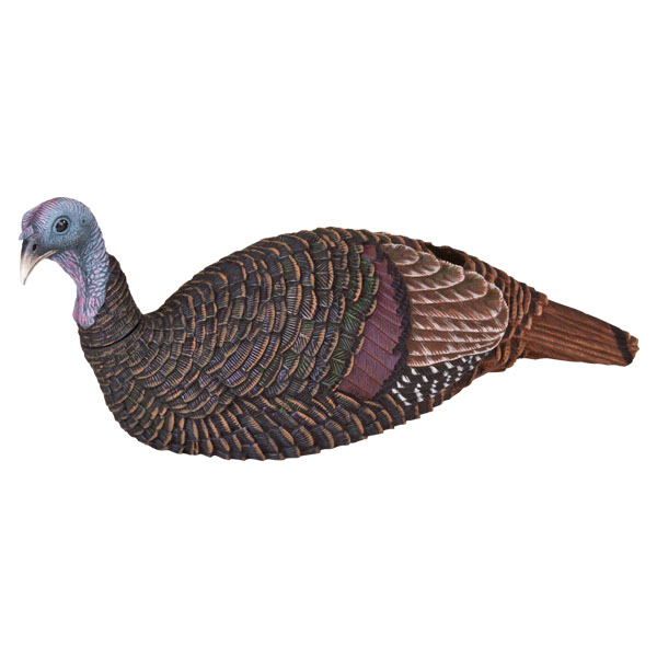 MAD Shady Baby Breeding Hen 1