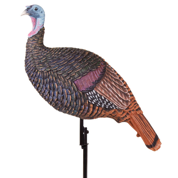 MAD Shady Baby Upright Hen 1