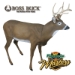 Master Series Boss Buck with Flambeau Logo