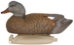 Masters Series Classic Gadwall with Grey Brown Orange White and Black Feather