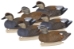 Masters Series Classic Gadwall with Six Ducks