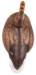 Masters Series Mallard hen top large