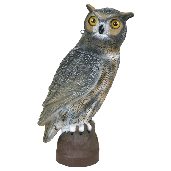 Flambeau Owl