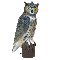 Flambeau Owl