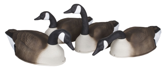 Storm Front 2 Canada Goose Shell - 4-Pack 4 geese