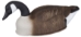 Storm Front 2 Canada Goose Shell - 4-Pack 3