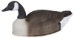 Storm Front 2 Canada Goose Shell - 4-Pack 2