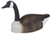 Storm Front 2 Canada Goose Shell - 4-Pack 1