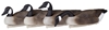 Storm Front™2 Floater Canada Goose - Standard 4-Pack 1 - 4 geese
