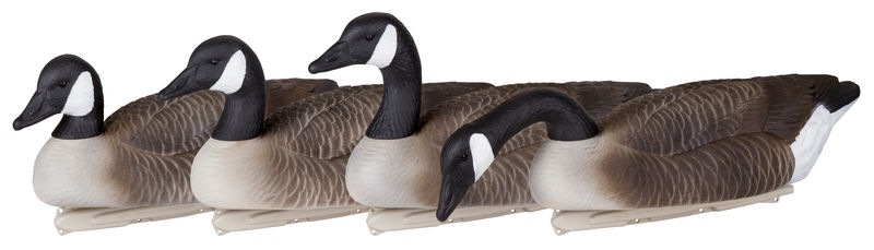 Storm Front&trade;2 Floater Canada Goose - Standard 4-Pack 1 - 4 geese