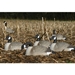 Storm Front&trade;2 Canada Goose Shell - 12-Pack in Different Positions
