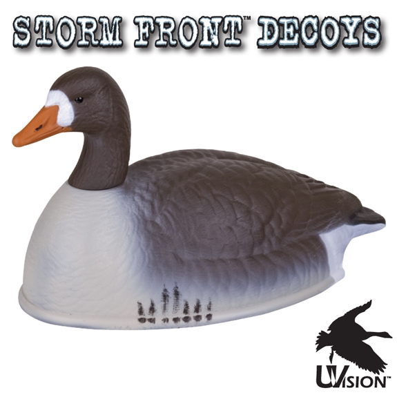 Storm Front White-Fronted Goose Shell