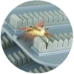 Medium Blue Ribbon Waterproof Fly Box close up