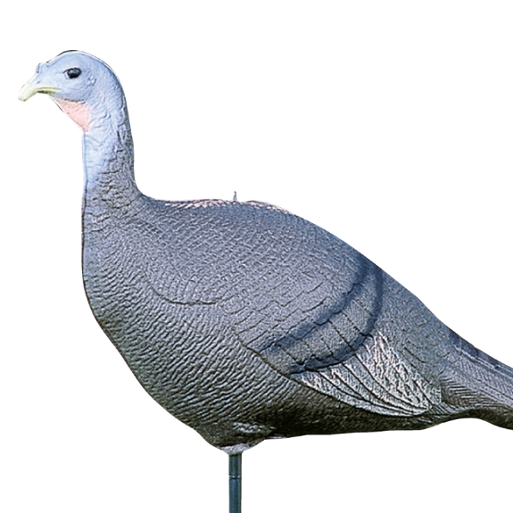 Feather Flex Turkey Hen