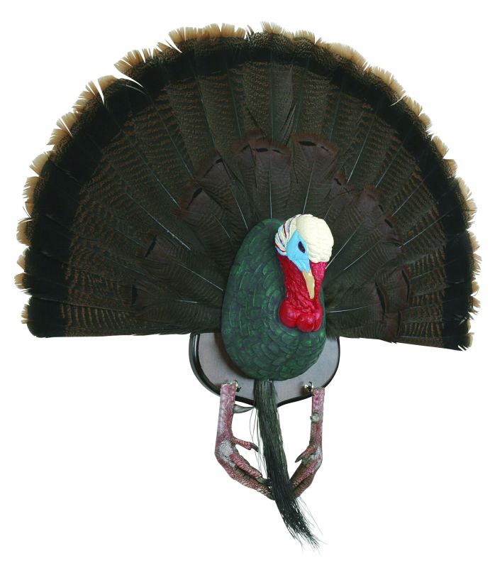 EZ Mount Exhibition Turkey Tail Mounting Kit - Hardwood Display System For Hunting Trophies
